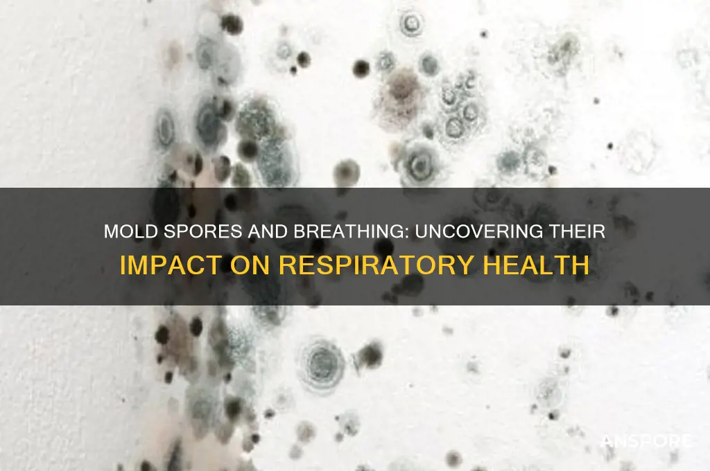 how do mold spores affect respiration
