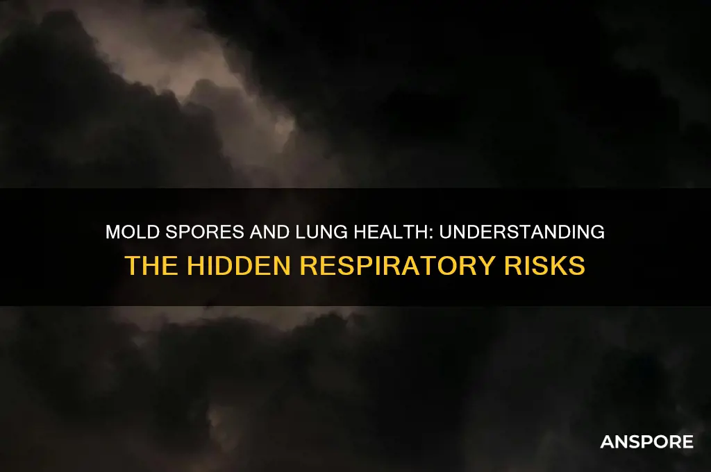 how do mold spores affect your lungs