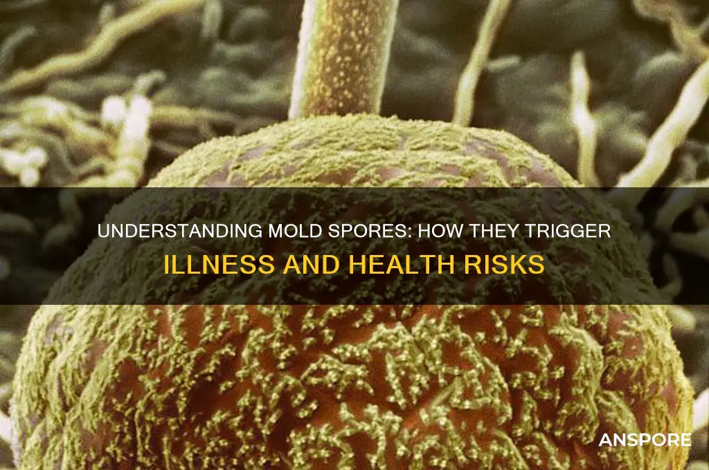 how do mold spores make you sick