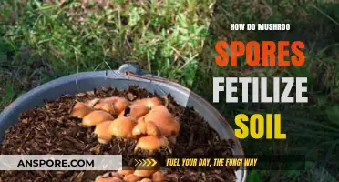How Mushroom Spores Fertilize Soil: Unlocking Nature's Secret Nutrient Boost