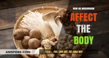 Mushrooms' Magical Impact: Body Benefits and Beyond