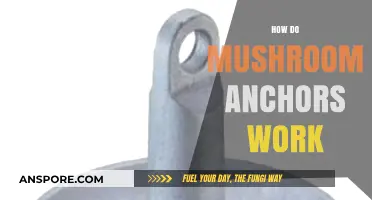 Mushroom Anchors: How Do They Work?