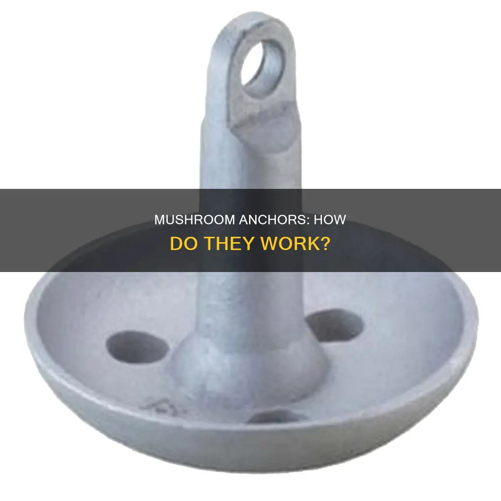 how do mushroom anchors work