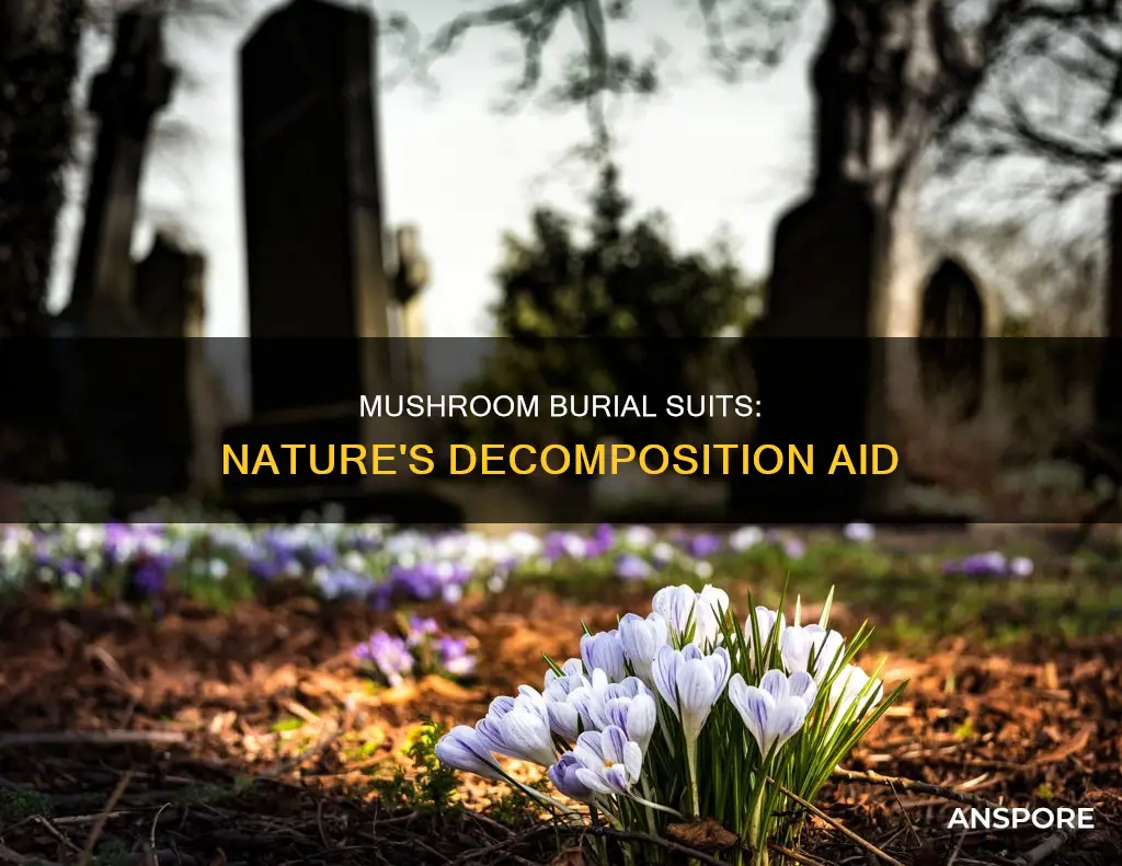 how do mushroom burial suit work