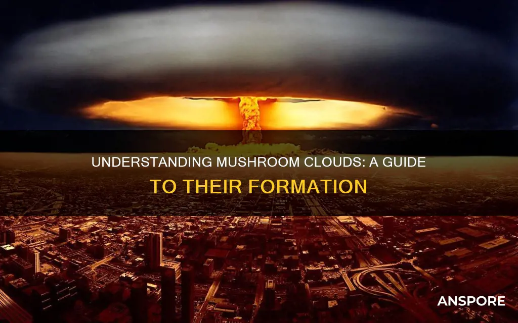 how do mushroom cloud work