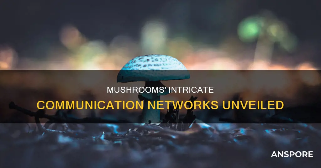 how do mushroom communicate