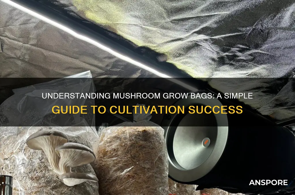 how do mushroom grow bags work