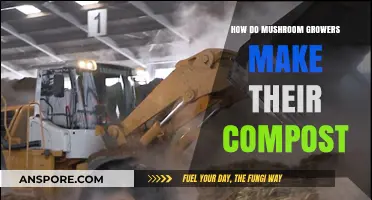 Mastering Mushroom Compost: Growers' Secrets to Perfect Substrate Preparation