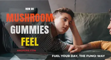 Mushroom Gummies: A Natural High or Hype?