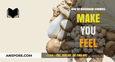 Exploring the Effects: How Mushroom Gummies Influence Your Mood and Mind