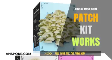 Mushroom Patch Kits: A Guide to Growing Mushrooms at Home