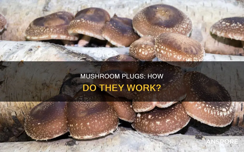 how do mushroom plugs work