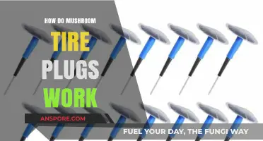 Mushroom Tire Plugs: Plug and Go?