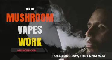 Mushroom Vapes: A Guide to Using and Understanding Them