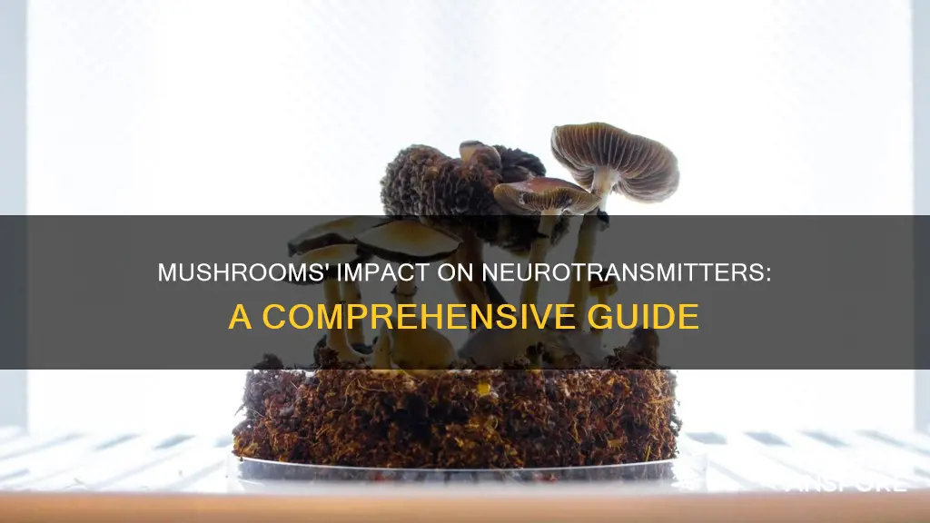 how do mushrooms affect neurotransmitters