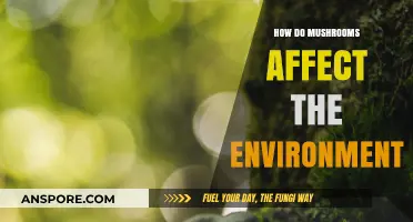 Mushrooms: Nature's Magic for a Greener Planet