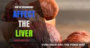 Mushrooms' Impact: Liver Health and Beyond