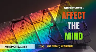 Mushrooms' Mind-Altering Effects: A Journey Through Psychedelics