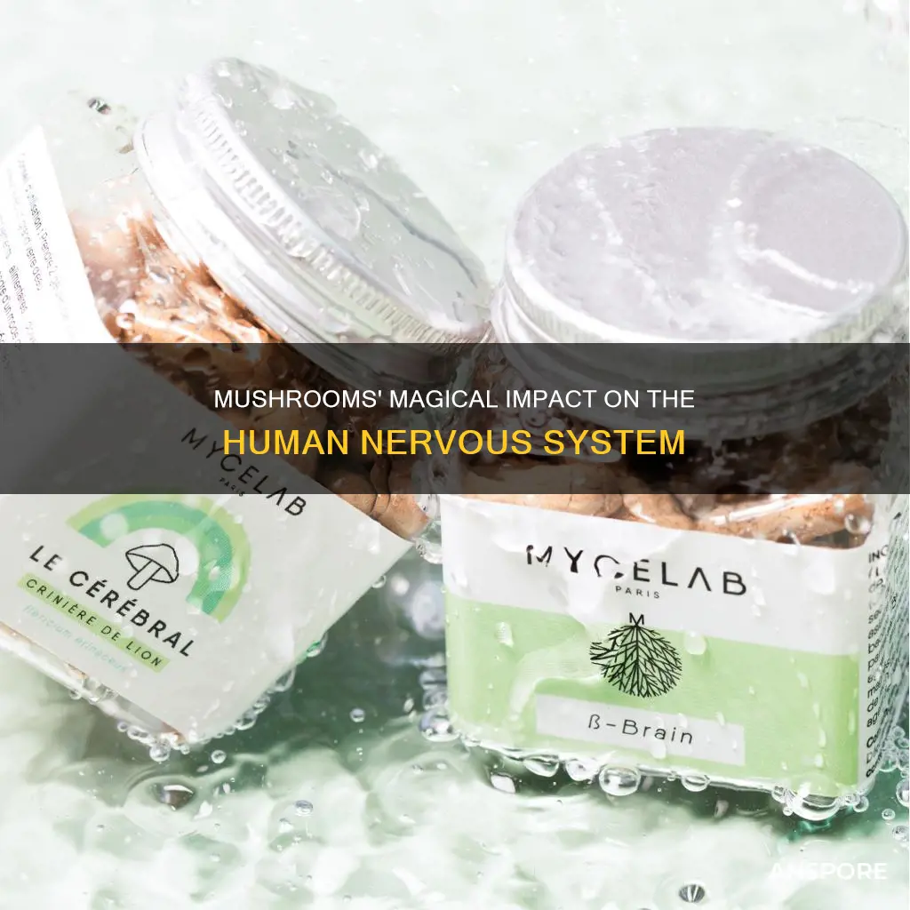 how do mushrooms affect the nervous system
