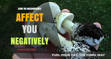 Mushrooms' Dark Side: Negative Impacts on Your Health