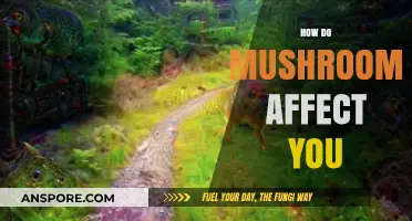 Mushrooms' Magical Impact: How They Affect Your Body and Mind