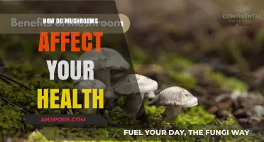 Mushrooms: Superfood or Super-risk?