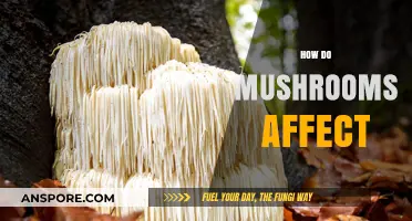 Mushrooms: Their Impact on Mind and Body