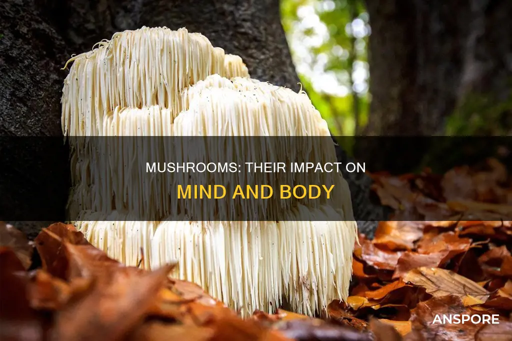 how do mushrooms affect