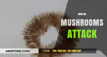 Mushrooms' Deadly Attack Strategies