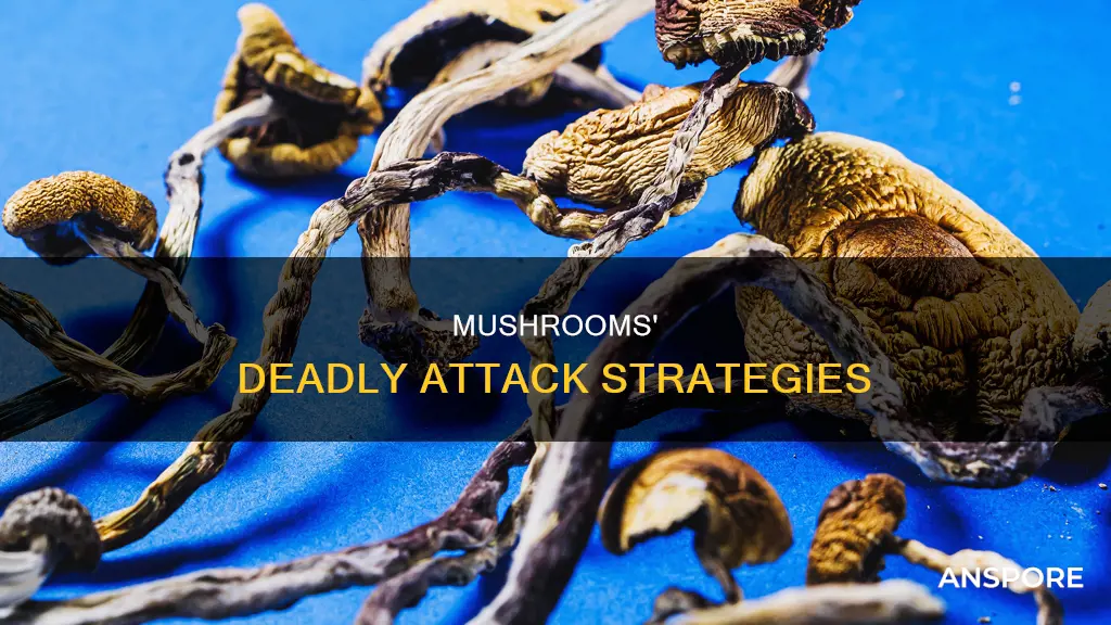 how do mushrooms attack