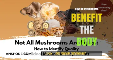 Mushrooms: Superfood for Your Body and Mind