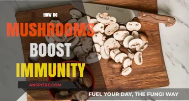 Mushrooms: Nature's Immunity Booster