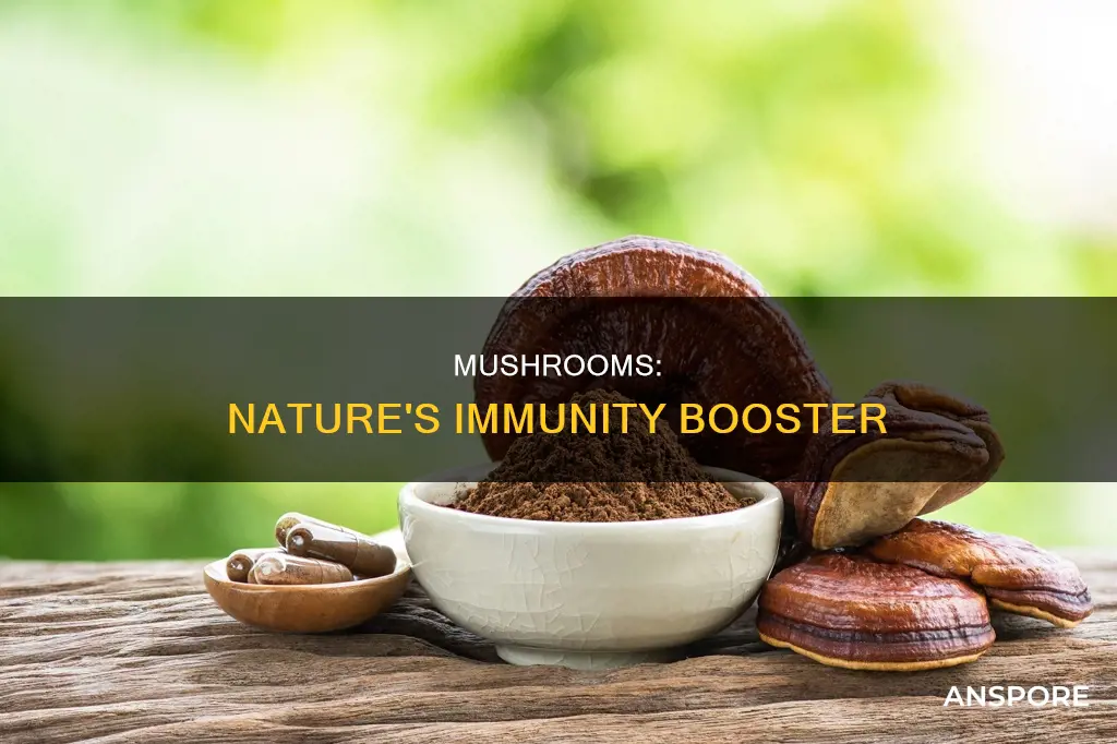 how do mushrooms boost immunity