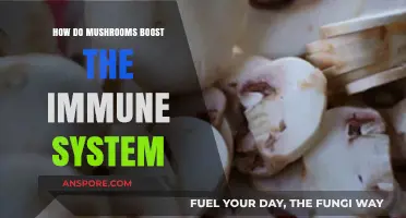 Mushrooms: Nature's Immune-Boosting Superfood