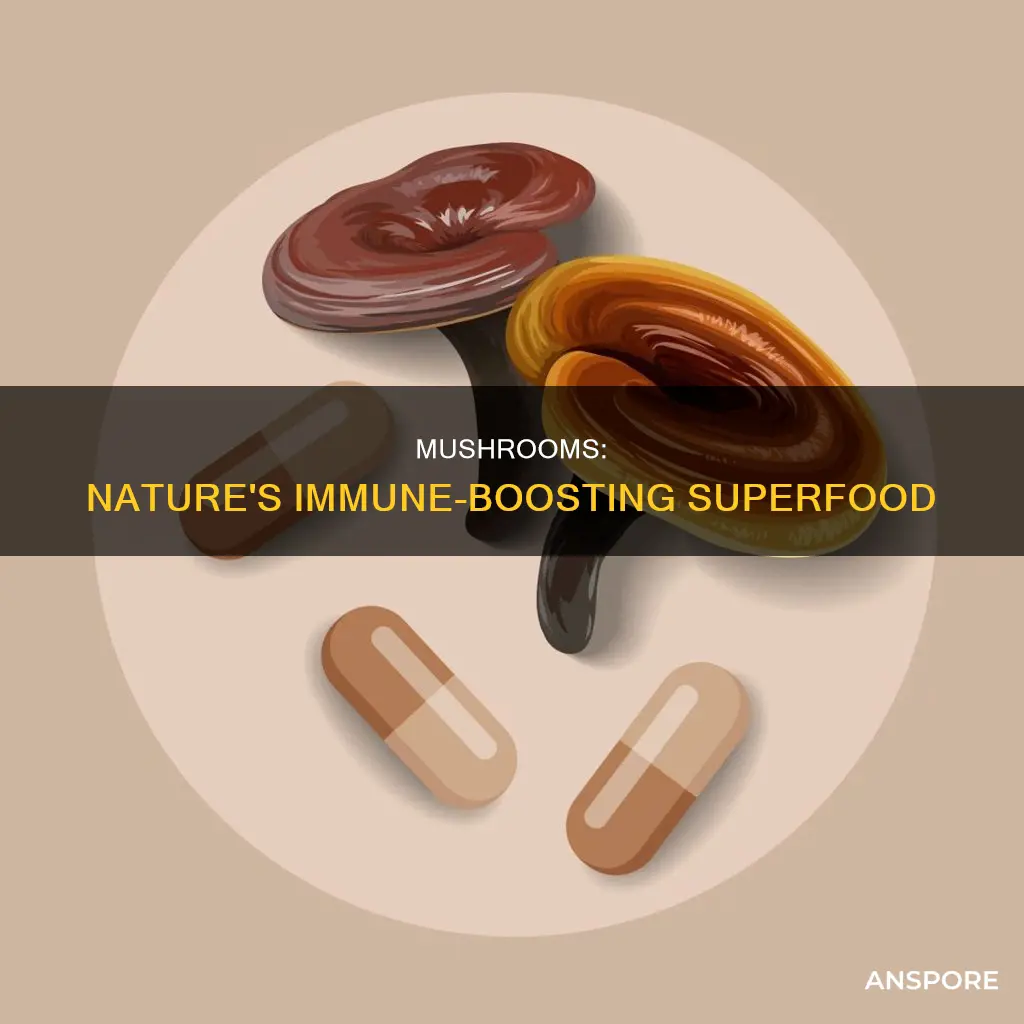 how do mushrooms boost the immune system