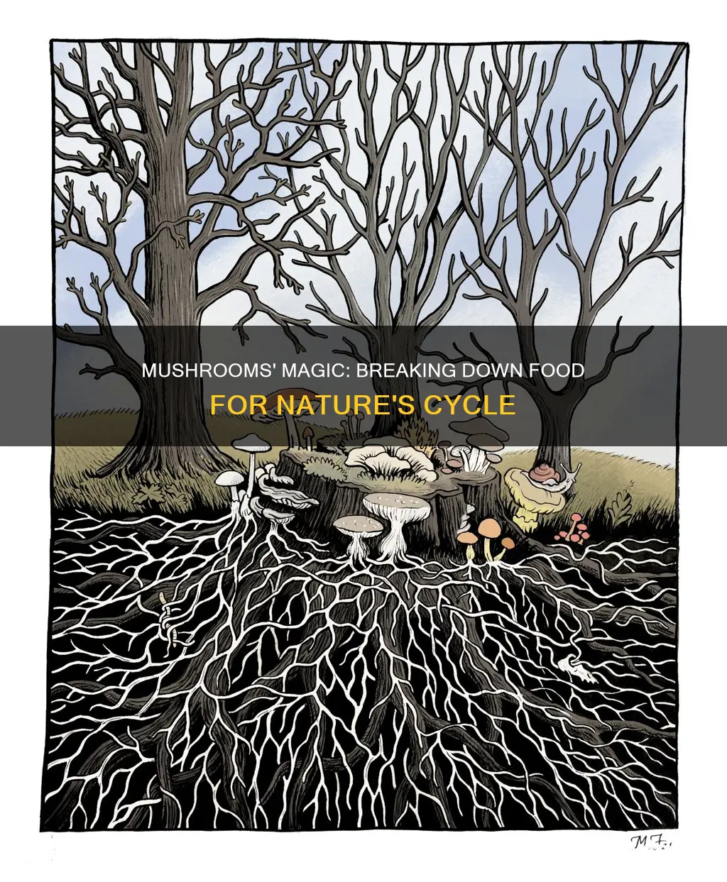 how do mushrooms break down food