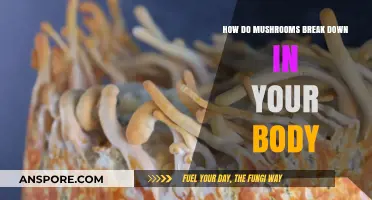 Mushroom Metabolism: Breakdown and Benefits