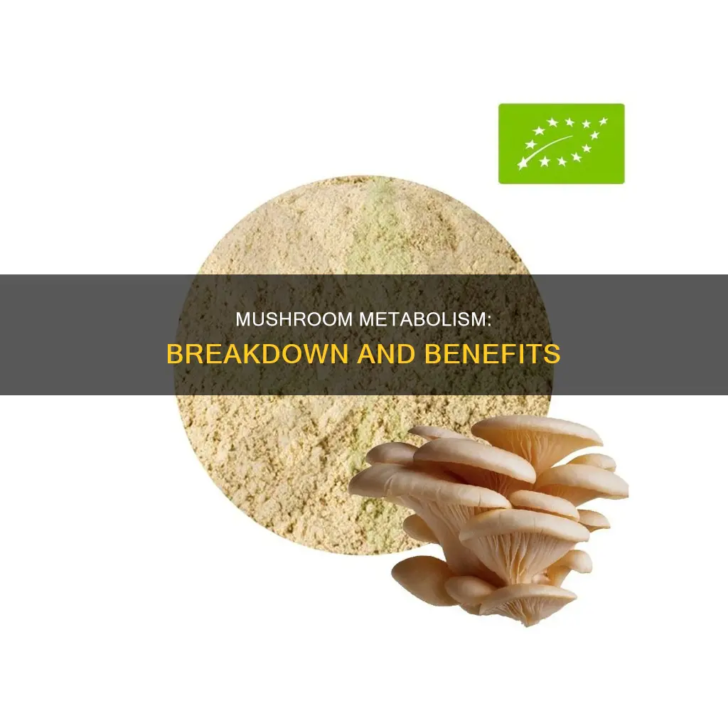 how do mushrooms break down in your body