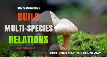 Mushrooms: Masters of Multi-Species Collaboration