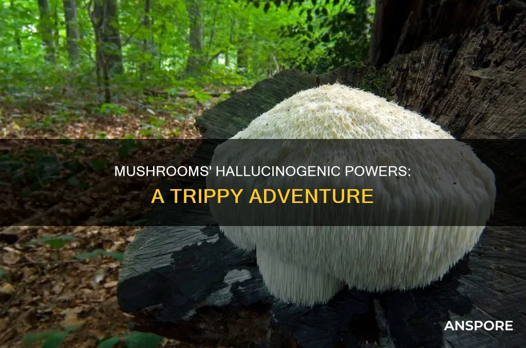 how do mushrooms cause hallucinations