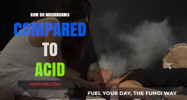 Psychedelics: Comparing Magic Mushrooms and Acid Trips