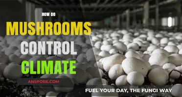 Mushrooms: Nature's Climate Control Superheroes