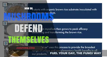 Mushrooms' Self-Defense: A Complex Arsenal of Strategies