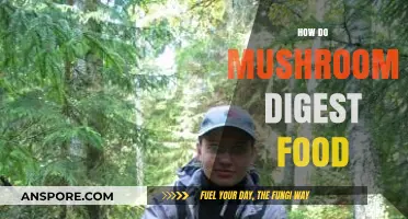 Mushrooms' Intriguing Food Digestion Process