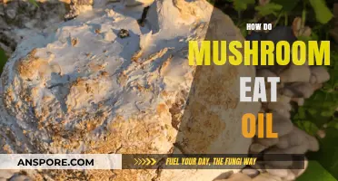 Mushrooms' Oil-Eating Secrets: How Fungi Clean Up Spills Naturally