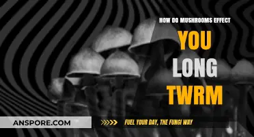 Long-Term Effects of Mushrooms: Health, Mind, and Wellness Explored