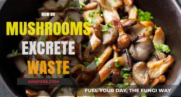 Mushrooms' Intriguing Waste Excretion Process