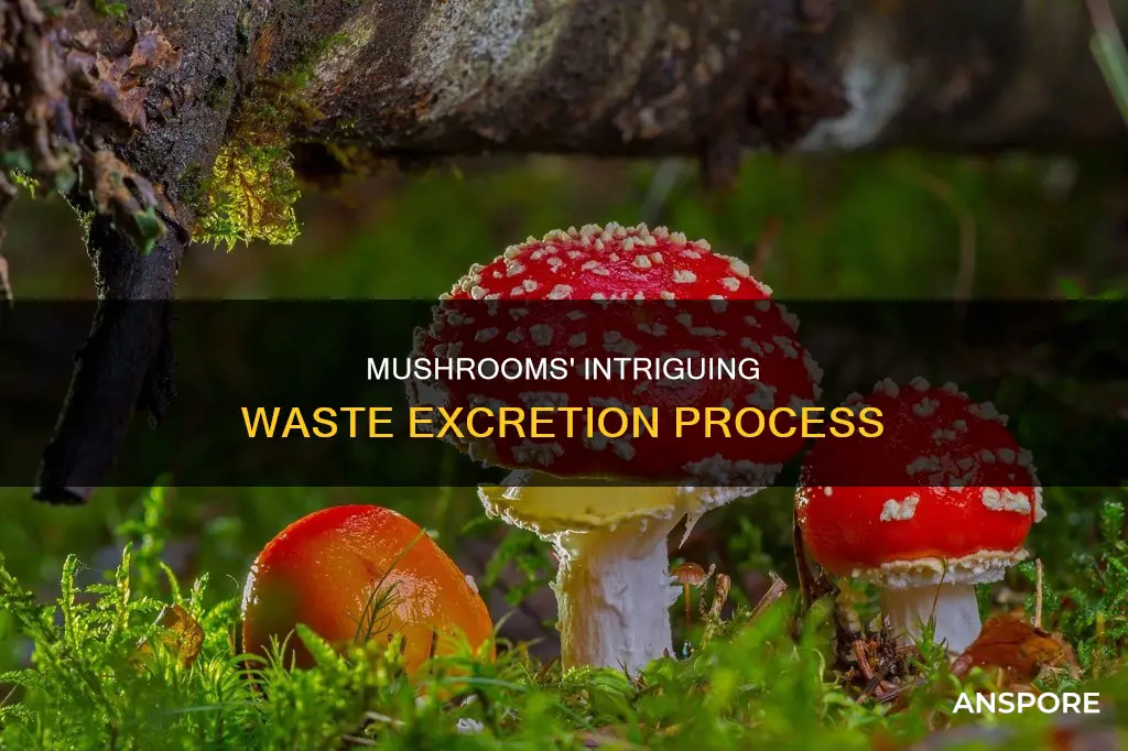 how do mushrooms excrete waste
