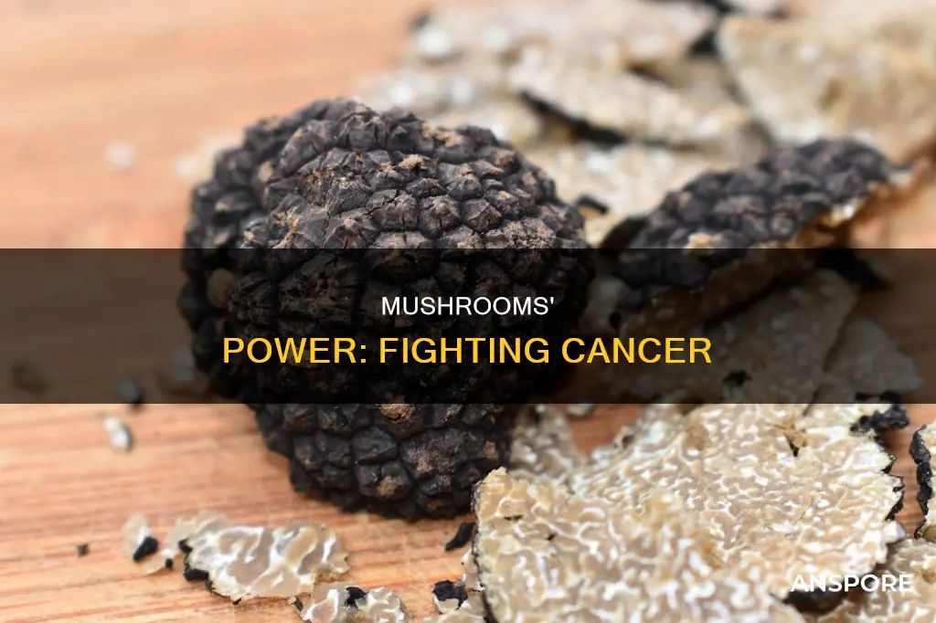 how do mushrooms fight cancer