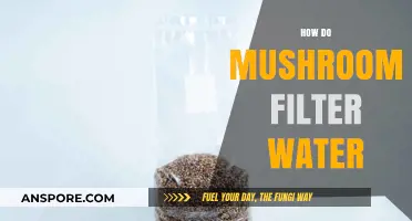 Mushrooms: Nature's Water Purifiers